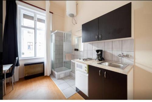 een kleine keuken met een wastafel en een douche bij SparrOwl Apartments in Boedapest