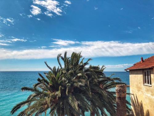 a palm tree next to a building and the ocean at Casa del 1400 nell'antico Borgo di Cervo in Cervo