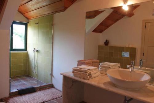 a bathroom with a sink and a shower at Quinta do Caçador in Estremoz