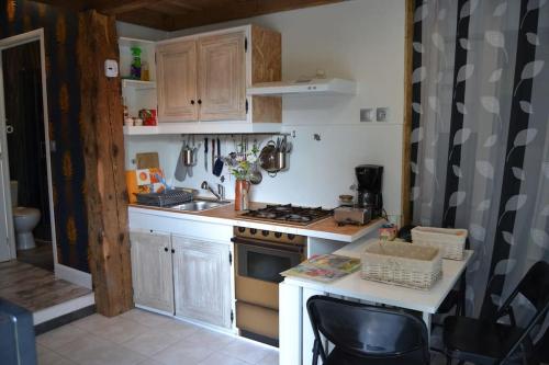 le p'tit studio au calme au pied du Jura : مطبخ صغير مع موقد ومغسلة