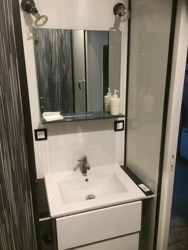 un baño con lavabo y espejo en le p'tit studio au calme au pied du Jura, en Messia-sur-Sorne