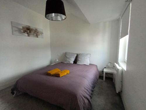 Un dormitorio con una cama con dos objetos amarillos. en petit Gîte T2 des balcons d'Ancenis, en Ancenis