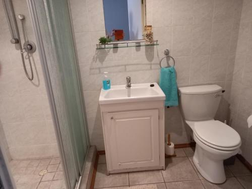 ein Bad mit einem WC, einem Waschbecken und einer Dusche in der Unterkunft Sunshine Cottage in Kapstadt