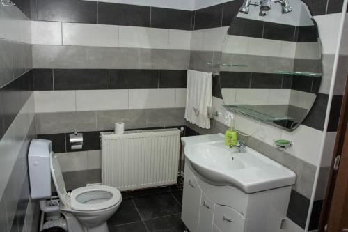 y baño con aseo y lavamanos. en Casa Viorica și Luis, en Câmpulung Moldovenesc