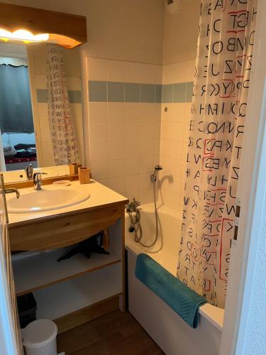 uma casa de banho com um lavatório e uma cortina de chuveiro em Appartement LA MARMOTTE DU DEVOLUY em Le Dévoluy