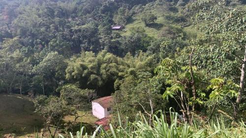 a small house in the middle of a forest at Eco Hotel Entre Ríos in Villeta