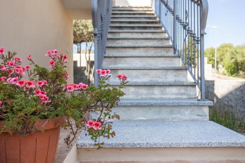 a set of stairs with pink flowers in a pot at Casa vacanza con vista panoramica in Viddalba
