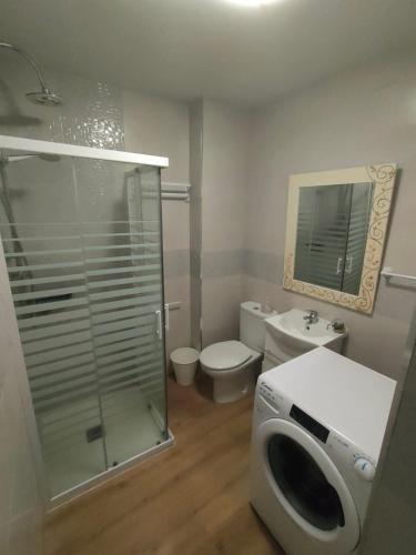 a bathroom with a shower and a toilet and a sink at CASA GLORIA in Ganuza