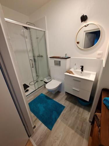 a bathroom with a toilet and a sink and a mirror at Bursztynowa 1 in Sztutowo