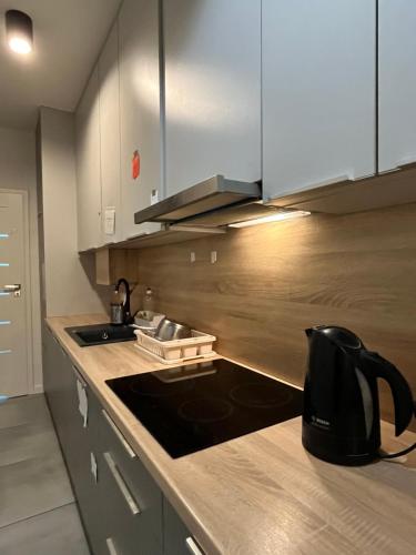 Kuchyňa alebo kuchynka v ubytovaní Matejki rooms