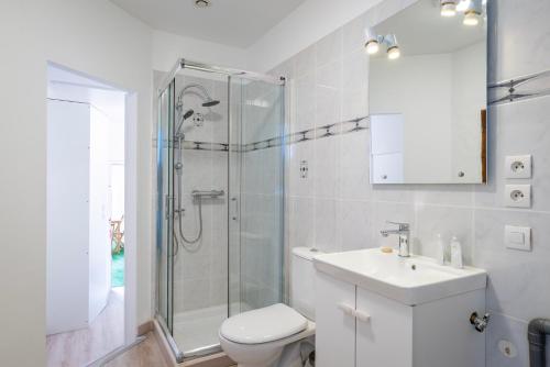 y baño con ducha, aseo y lavamanos. en Le Pied à Terre - Wifi - Golden Tree en Marmoutier