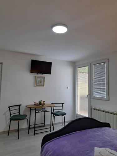 Televízia a/alebo spoločenská miestnosť v ubytovaní Bed&Breakfast Đurđan