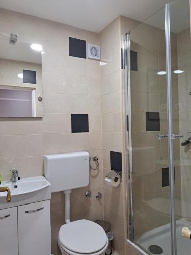 e bagno con doccia, servizi igienici e lavandino. di Bed & Breakfast Đurđan a Krapinske Toplice