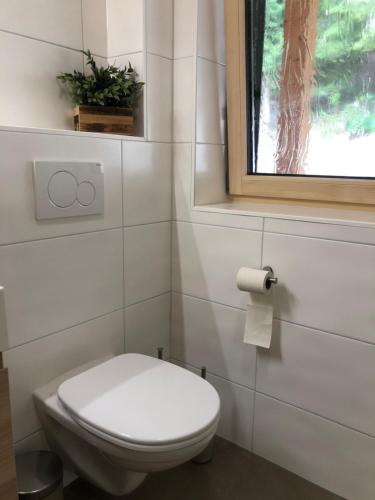 a bathroom with a white toilet and a window at Blockhaus Waldspiel -Adults Only in Ratten