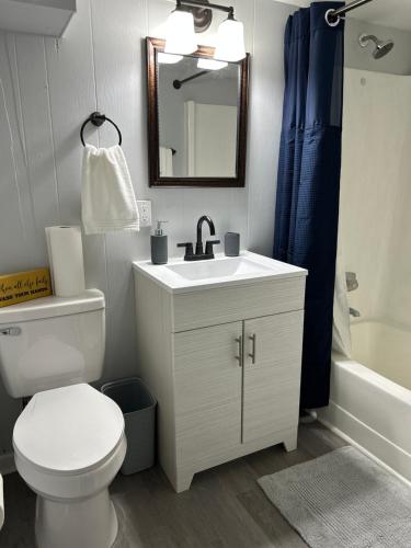 uma casa de banho com um WC, um lavatório e um espelho. em The Tranquil Lodge em Clarksville