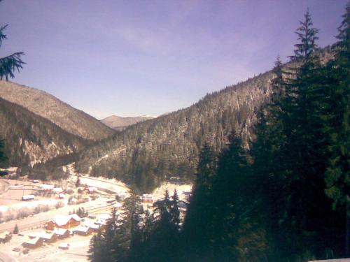 a view of a valley with trees and a mountain at Khatky Na Penkakh in Vorokhta