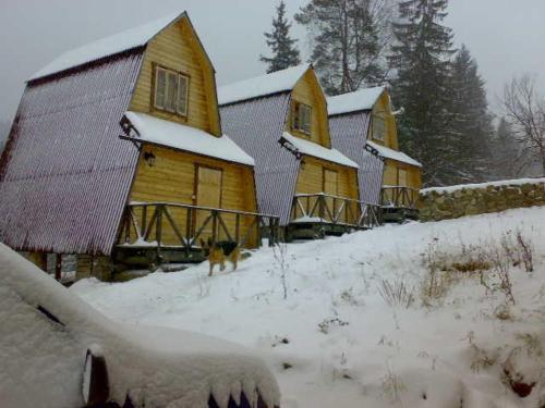 a dog walking in the snow in front of a house at Khatky Na Penkakh in Vorokhta