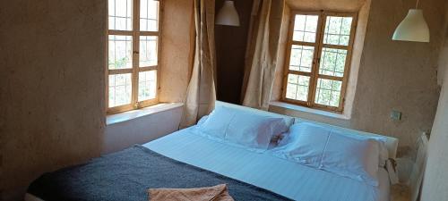 凱拉的住宿－Kasbah ait Moussa，卧室内的一张床位,设有两个窗户