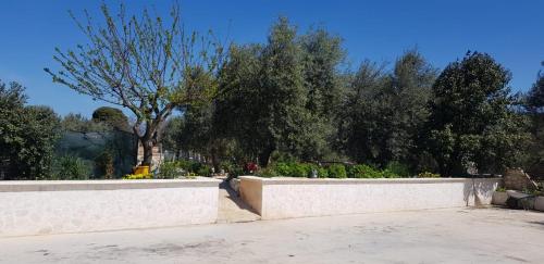 a park with a retaining wall and a tree at Fattoria Moresco in Peschici