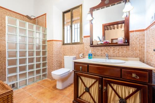 ein Bad mit einem WC, einem Waschbecken und einem Spiegel in der Unterkunft Villa Hache in Villanueva del Rosario