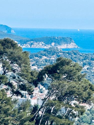 a view of a city from a hill with trees at MAISON indépendante VUE MER au cœur de la NATURE in Toulon