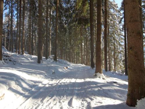 Holiday Home Chata Labaika by Interhome im Winter