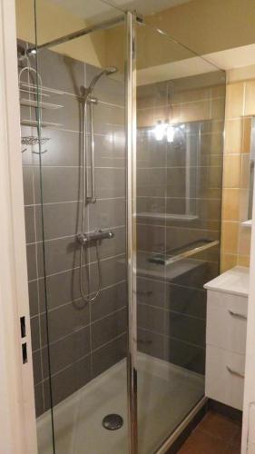 une douche avec une porte vitrée dans une salle de bain dans l'établissement Appt HAMEAU DU LAC avec piscine et vue sur le lac, à Marciac