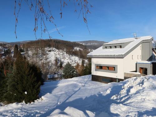 Studio Vista 1 by Interhome