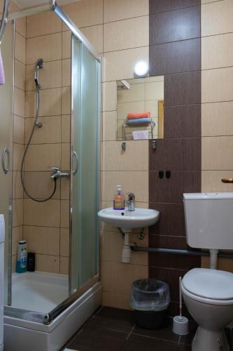 a bathroom with a shower and a toilet and a sink at Apartment Eurho in Osijek
