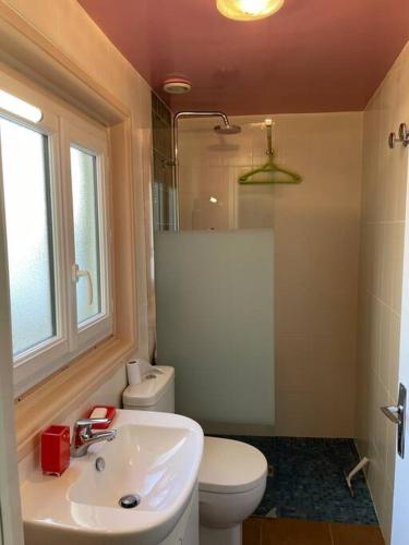 une salle de bain avec un lavabo et des toilettes et une fenêtre dans l'établissement Joli studio refait à neuf, à Le Mont-Dore