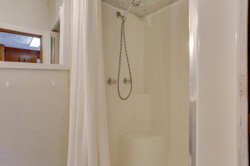 een douche in een badkamer met een douchegordijn bij Scenic Home on the Delaware River, Pet-Friendly! in Starlight