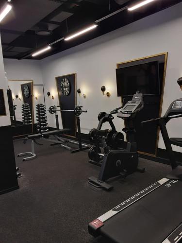 Fitness centrum a/nebo fitness zařízení v ubytování Loft Style Studio Apartment- Free Parking- Free Gym- Keyless Access