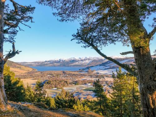 a view from the top of a hill with trees at Holiday Home Achmony Number 6 by Interhome in Drumnadrochit