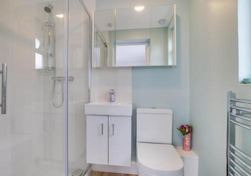 a bathroom with a shower and a toilet and a sink at Stonehurst in Aldringham