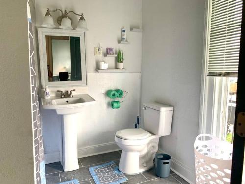 a bathroom with a toilet and a sink and a mirror at The Balcony on St Ann in New Orleans