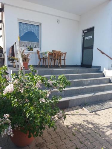 eine Reihe von Treppen mit Pflanzen vor einem Haus in der Unterkunft Mainzer Rad in Schwetzingen