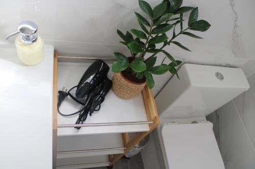 uma planta sentada numa prateleira ao lado de uma sanita em Alexia Room no Funchal