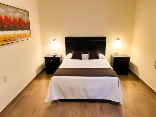 1 dormitorio con 1 cama grande y 2 mesitas de noche en Hotel Tito, en Arequipa