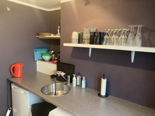 a kitchen counter with a sink and glasses on shelves at Central Copenhagen Apartment in Copenhagen