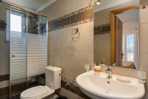 a bathroom with a sink and a toilet and a mirror at Olive Tree Villa in Chania