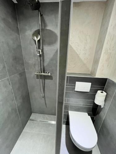 a bathroom with a toilet and a shower at Suite SZ-Lichtenberg in Salzgitter