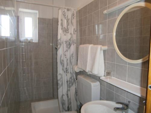 ein Bad mit einem Waschbecken, einem WC und einer Dusche in der Unterkunft Guest House Palme in Barbat na Rabu