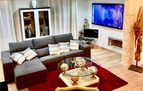 Μια τηλεόραση ή/και κέντρο ψυχαγωγίας στο 2 Bedroom Amazing Home In Sommieres