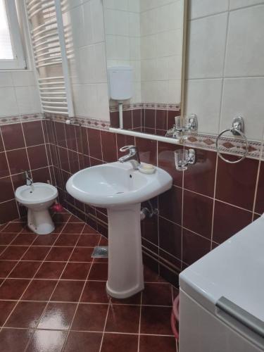 een badkamer met een wastafel en een toilet bij Apartman Urošević in Osečina