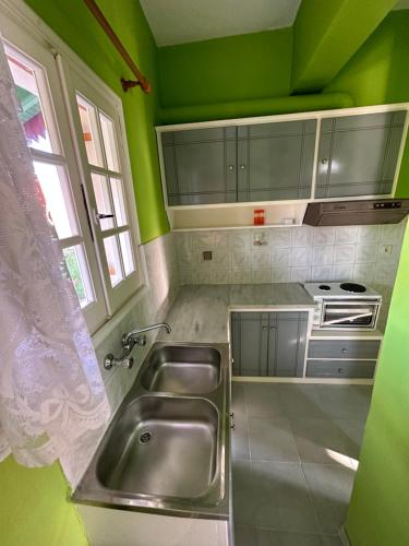 a kitchen with a stainless steel sink and green walls at Telis Apartments One in Roda
