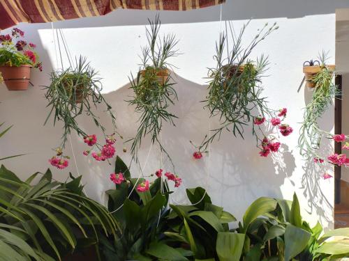 Een tuin van Alojamiento Rural Los Barrosos