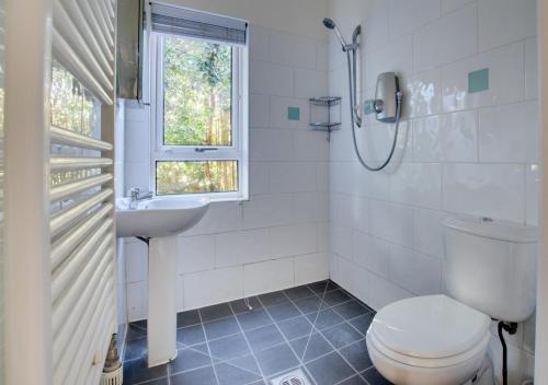 a bathroom with a toilet and a sink and a window at Tower Cottage in Walberswick