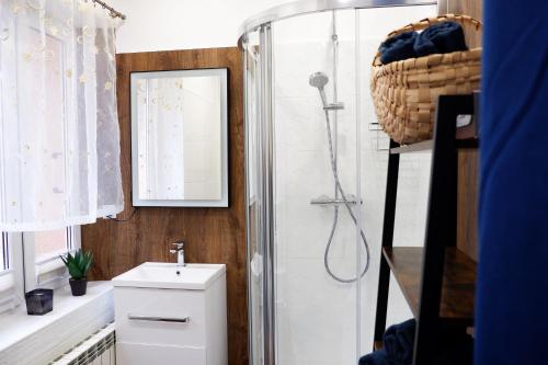 ein Bad mit einer Dusche, einem WC und einem Waschbecken in der Unterkunft Cichy apartament w centrum Nowy Sącz in Nowy Sącz