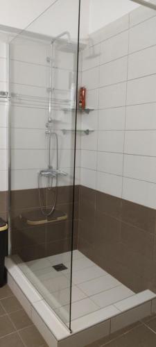 um chuveiro com uma porta de vidro na casa de banho em Alice house 3 em Amarinthos