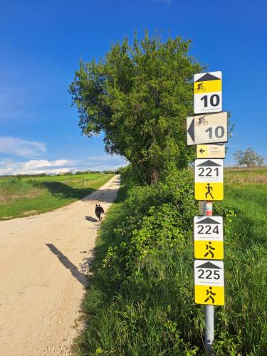 a sign on a dirt road next to a tree at Sobe Anja in Brtonigla